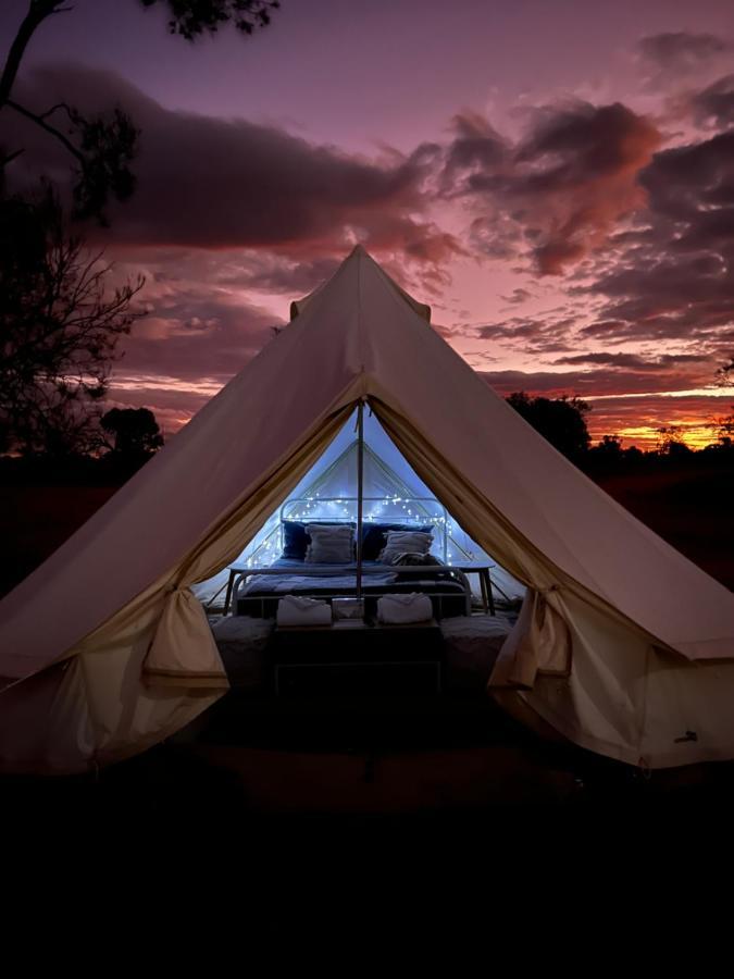 Mungo Lodge Extérieur photo