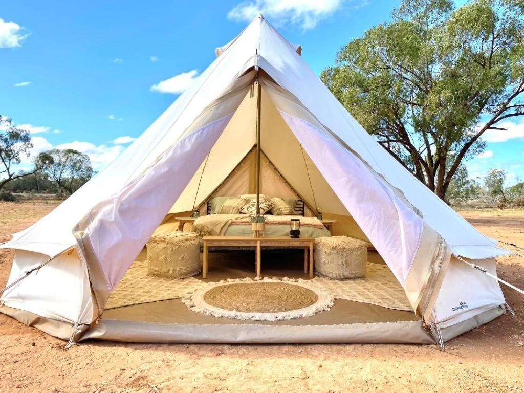 Mungo Lodge Extérieur photo